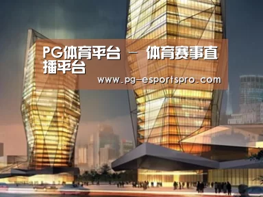 案例展示三