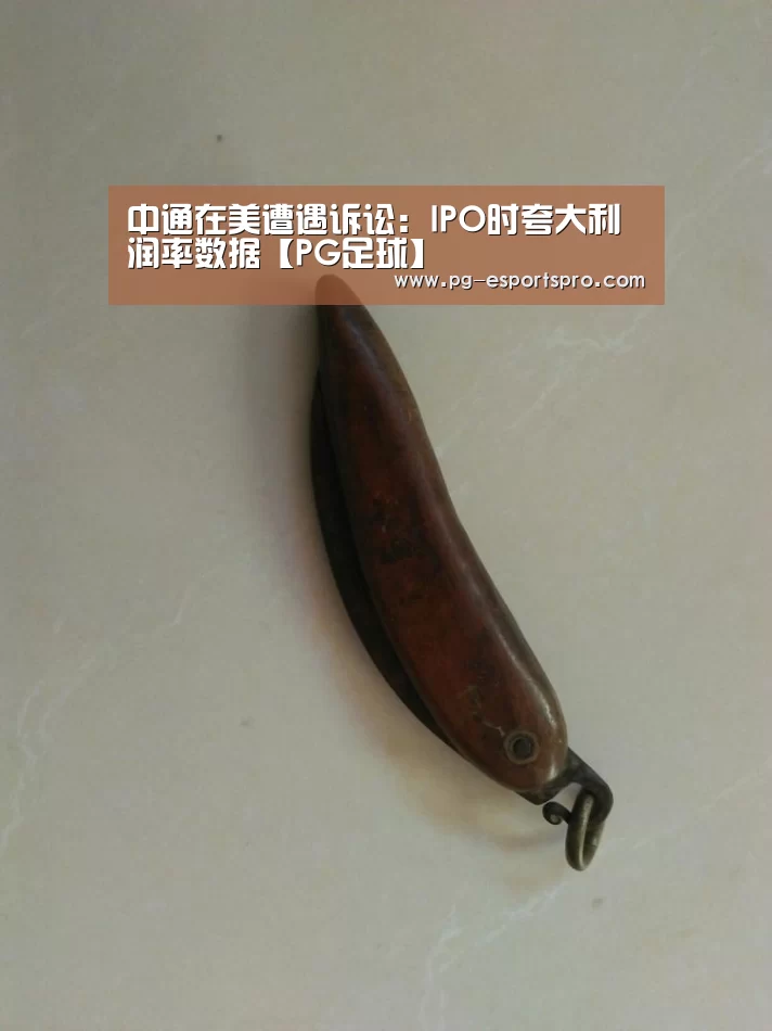 中通在美遭遇诉讼:IPO时夸大利润率数据【PG足球】(图3) PG足球