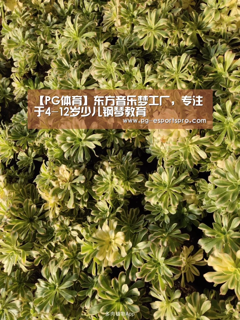 【PG体育】东方音乐梦工厂,专注于4-12岁少儿钢琴教育(图1) PG体育