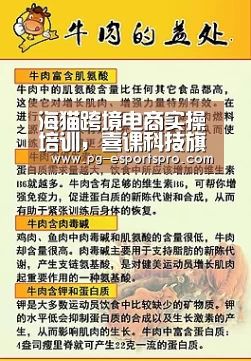 PG足球
