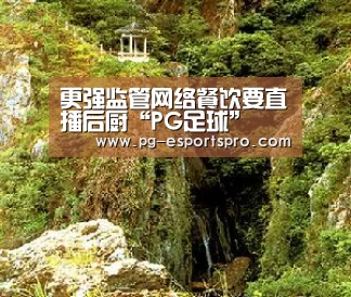 更强监管网络餐饮要直播后厨“PG足球”(图1) PG竞猜