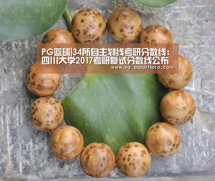 PG篮球