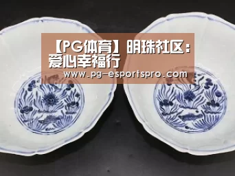 PG足球